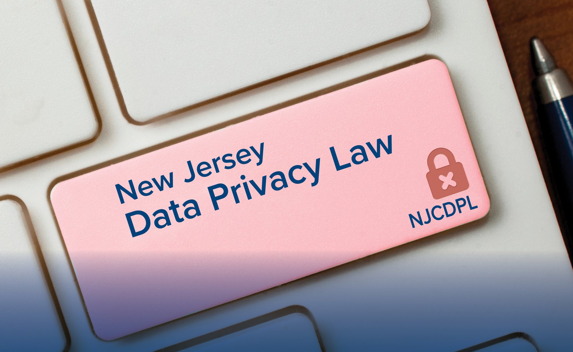 400-25_Cyber Images-Various_Jp-ss18