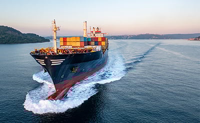 Gustavo Seaworthy - Article 3