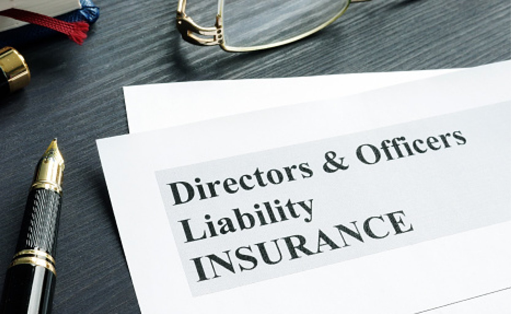 Q3 Coverage Matters D&O Article